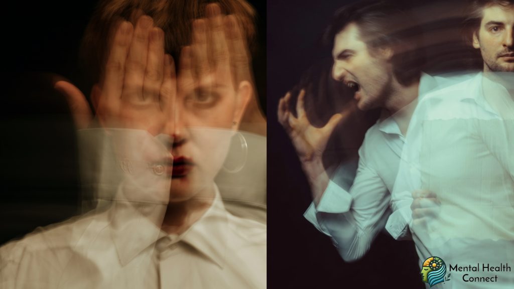 PPD vs. Paranoid Schizophrenia